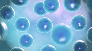MCB2010C Lab: Isolation of Pure Bacterial Cultures Technique