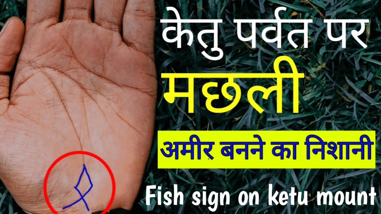 Fish Sign On Ketu fish-sign-on-ketu
