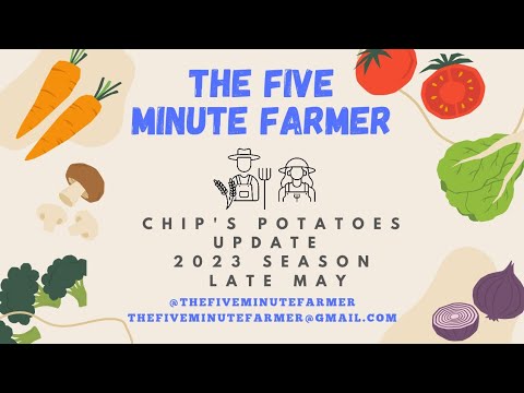 The Five Minute