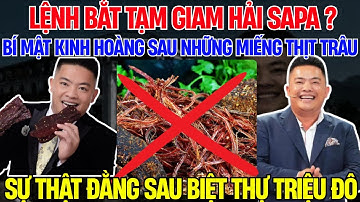 Hải Sapa: Bí Mật Đằng Sau Thịt Trâu Gác Bếp Giả - Từ Tài Xế Du Lịch Đến Đại Gia Trăm Tỷ | Thấu Kính