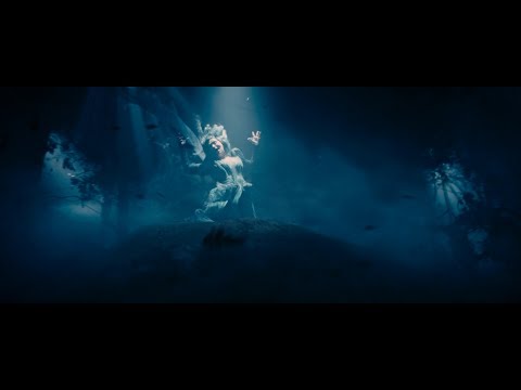 Into the Woods | Last Midnight (1080p)