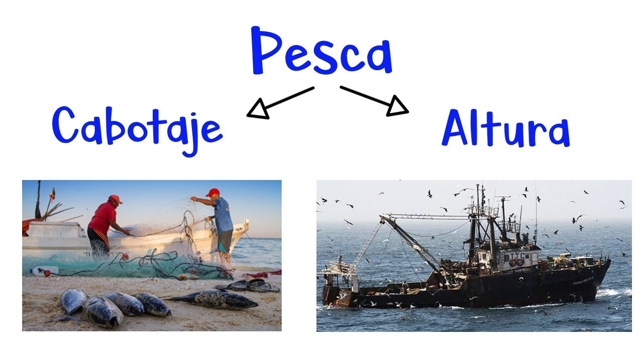 🐟 Diferencias entre Pesca de Cabotaje y Pesca de Altura 🐙 [Fácil y  Rápido] 