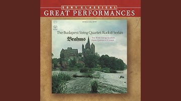 String Quartet No. 1 in C Minor, Op. 51 No. 1: II. Romanze. Poco adagio