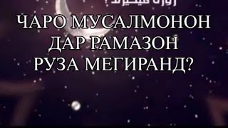 Чаро мусалмонон руза мегиранд - новор то охир тамошо кунед