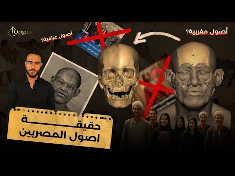 جينات المصريين وجنون الإعلام