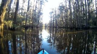 Caddo Lake government ditch 6
