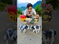 RC Remote Control Garu Gadi And Two Cow Video 😱 #animalshorts
