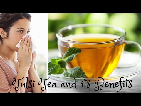 holy-basil-tea-|-tulsi-tea-and-its-benefits-|-how-to-make-tulsi-ki-chai