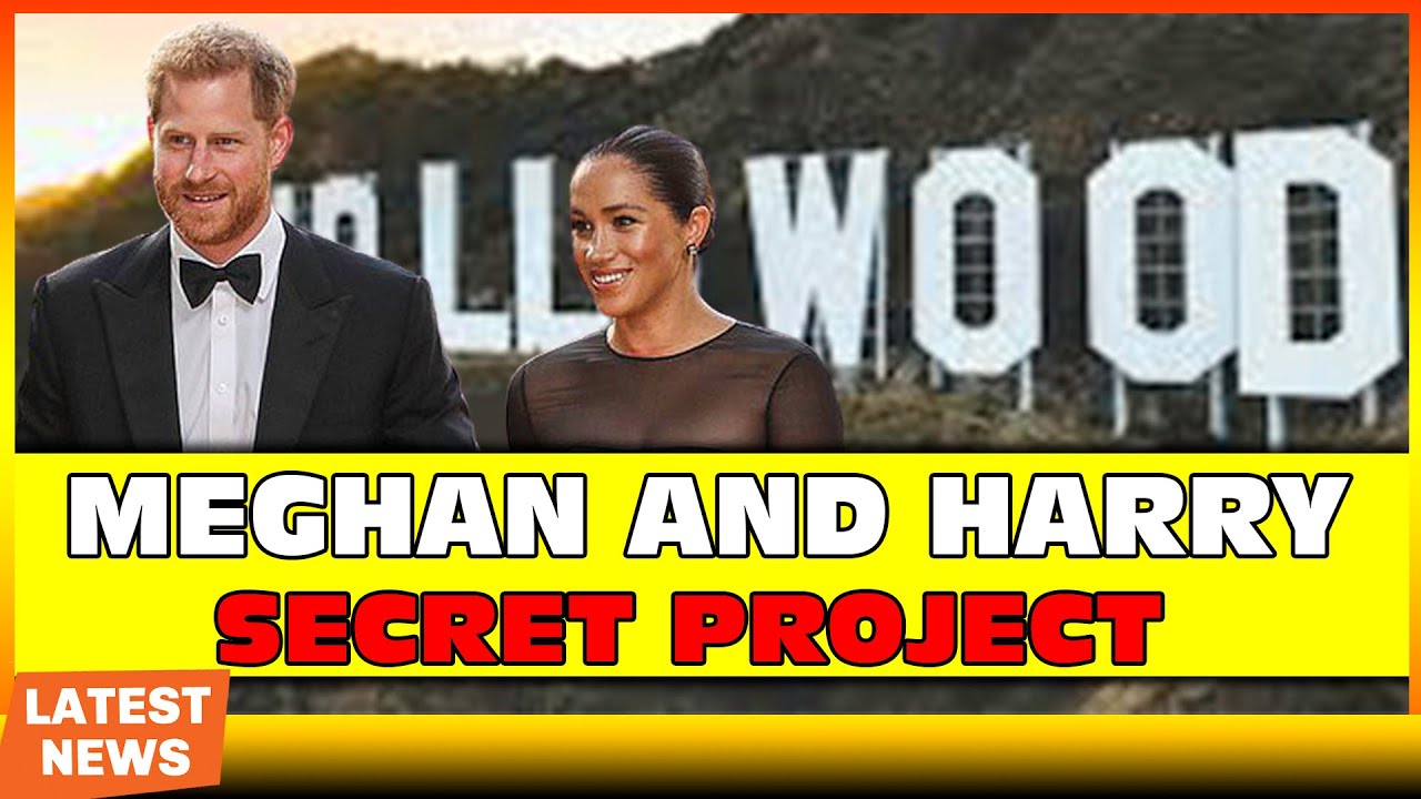 Meghan Markle and Prince Harry Are Pitching Secret Project to Media