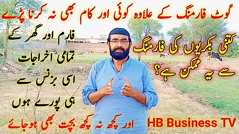How many goats should start farming? | کامیاب فارمنگ کے لیئے کتنی بکریاں پالیں