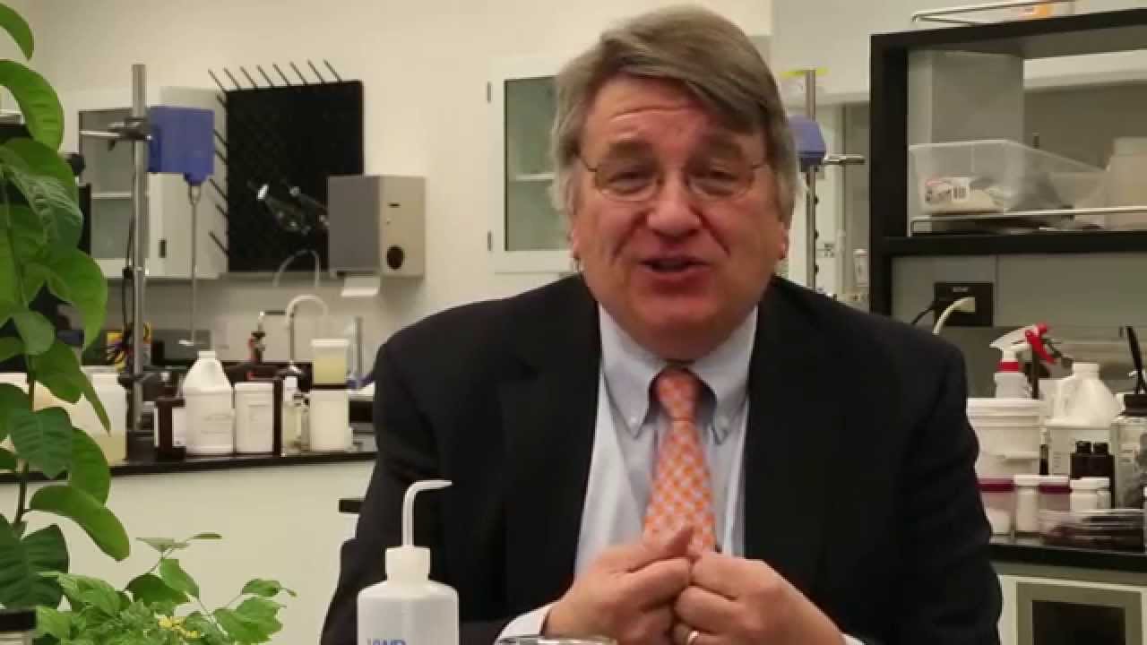 Epoch essential oils with dr paul cox youtube
