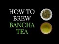 How to brew bancha  complete bancha tea brewing guide
