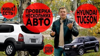 Hyundai Tucson/ Есть ли живые Туксоны?/ Проверка нескольких авто в Днепре