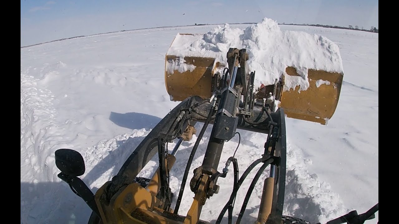 Moving Heifers and Digging out of a Snow Storm - YouTube