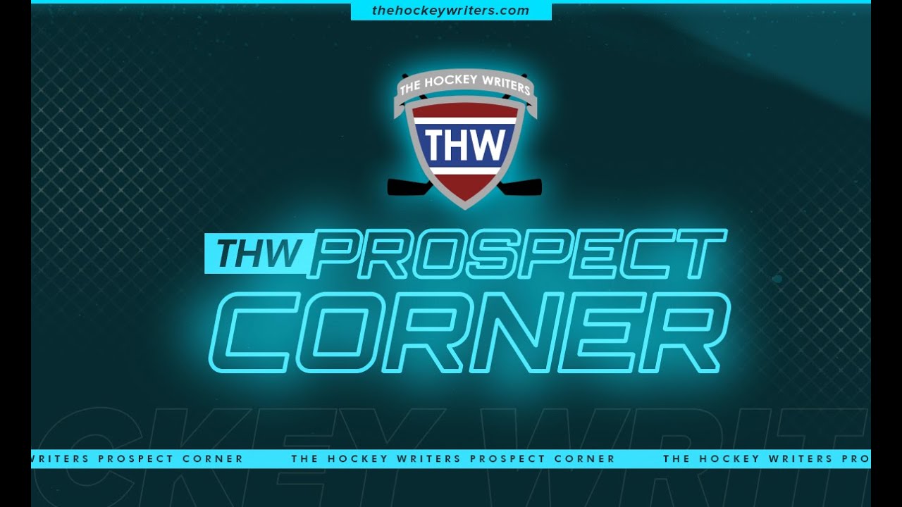 2024 Draft Profiles Parekh and Silayev & NHL Farm System Rankings Red