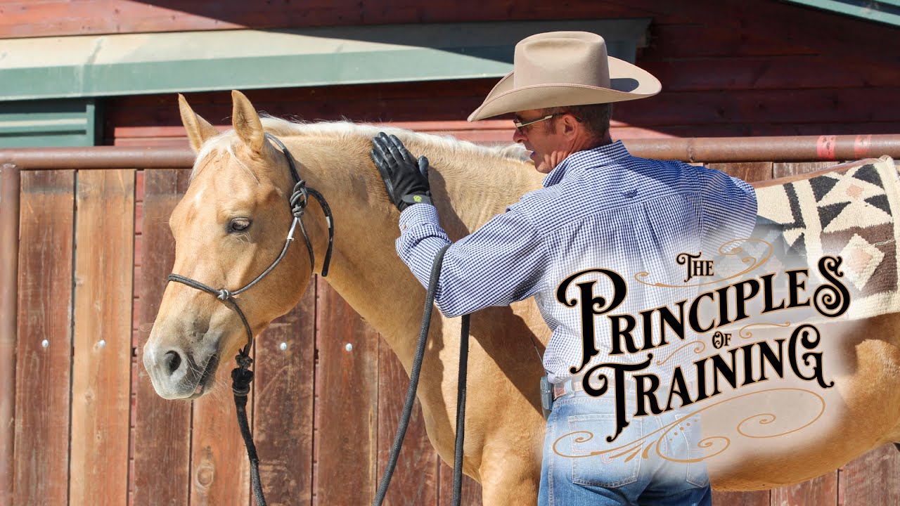 The Principles of Training Season 3 Episode 5: "Judgmental Thoughts"