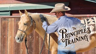 The Principles of Training Season 3 Episode 5: "Judgmental Thoughts"