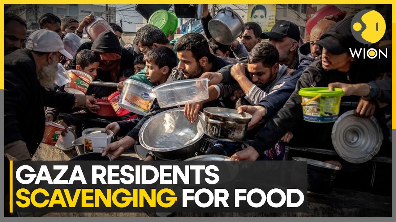 Israel-Hamas War: Gaza's Humanitarian Crisis Worsens As Floods Devastate The Displaced | WION