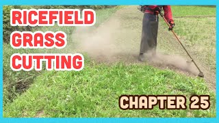 【 Rice Field 】 Grass Cutting KAAZ (JAPAN)URP260AL-TB26 25cc Chapter25 Relaxing,Japanesehealing 【 Rice Field 】 Grass Cutting KAAZ (JAPAN)URP260AL-TB26 25cc Chapter25 Relaxing,Japanesehealing