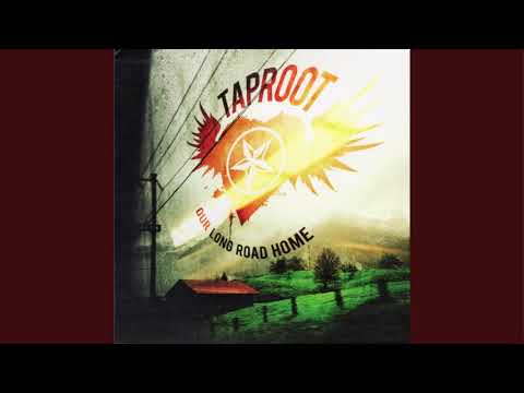 Video: Taproot-competitie