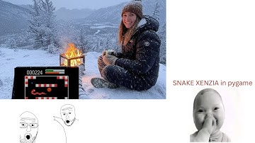 Snake xenzia made with python and Tkinter