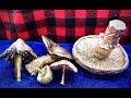 Making Metal Mushrooms