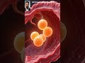 This happens before you even know it #fertilization #biology