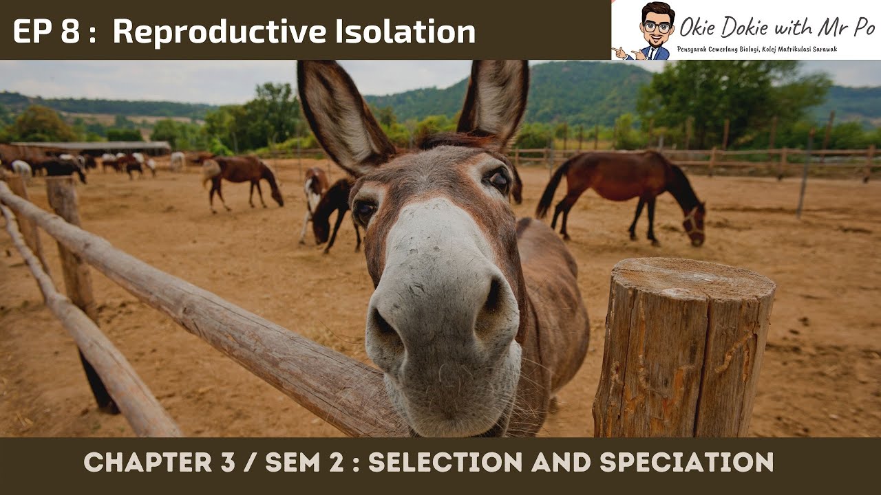 Chapter 3 EP 8 / Sem 2 : Reproductive Isolation (Matriculation Biology ...