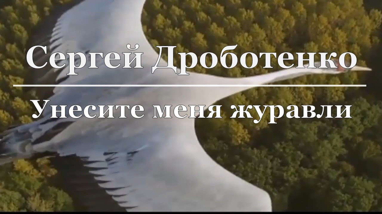 Песня уносили меня уносили туда. Унесите меня Журавли. Унесите меня Журавли Кобяков.