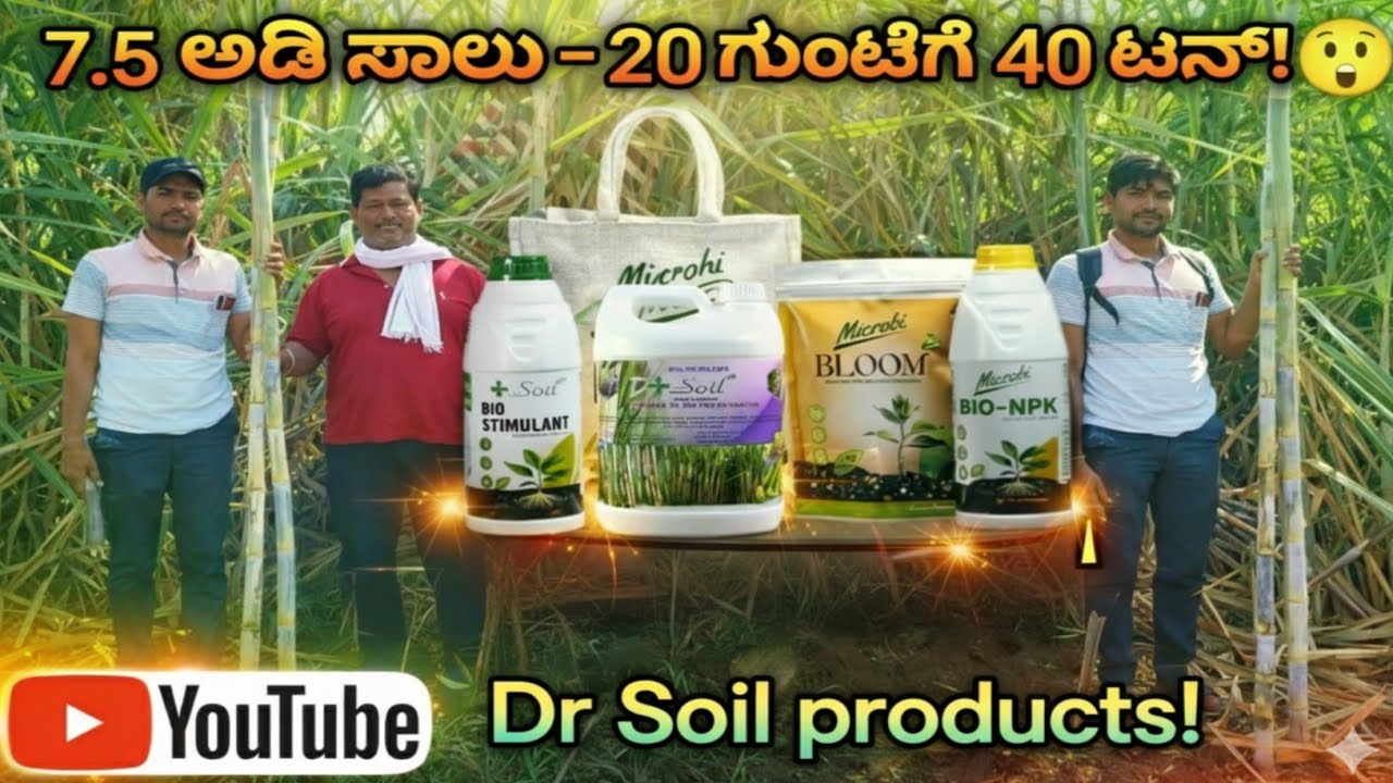 7.5 ಫೂಟ್ ಸಾಲಿನಲ್ಲಿ 20 ಗುಂಟೆಗೆ 40 ಟನ್ ಮಧ್ಯ ಮಿಶ್ರ ಬೆಳೆ-ರೈತನ ಅಚ್ಚರಿ ಯಶಸ್ಸು! ರೈತ ರಾಜು ಕಬಾಡಿಗಿ/6361706049