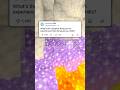 Reddit Stories: Creepiest Things I've Experienced