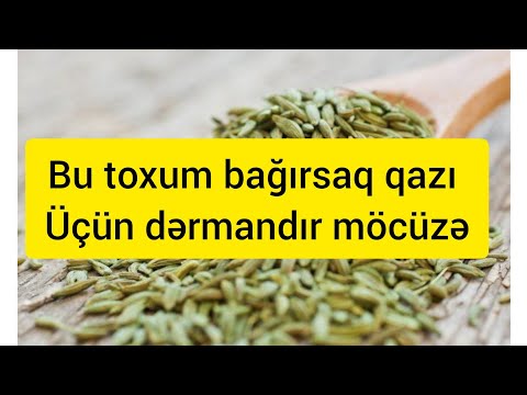 Bağırsaq qazı (köpmə) üçün möhtəşəm resept #fyp #kəşfet