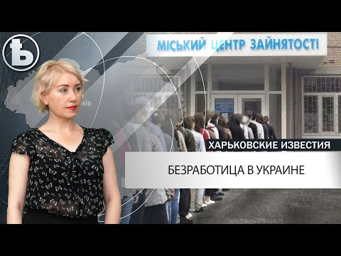 Какой прогноз относительно безработицы в Украине дают аналитики