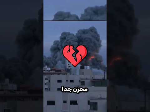فلسطين والهجمات الإلكترونية فلسطين هاك برمجة     اختراق