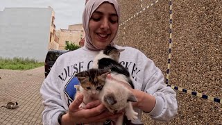 One meow was enough from mama cat to bring her sweet kittens out to meet me. by Feeding Street Cats 9,074 views 5 days ago 4 minutes, 40 seconds