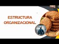 EXPOSICIÓN DE AVANCE 2 - Formulación y Evaluación de Proyectos - Sección 1571