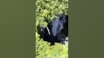 تلاوة رائعة سورة الكافرون(قل يا أيها الكافرون #اكسبلور #المصحف #دويتو #راحة_نفسية #تيك_توك #ترند