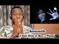 MUSIC LOVER Reacts to Aerosmith - I Don&#39;t Want to Miss a Thing