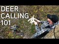 Deer Calling Tips | Rattling and Grunting To Bucks