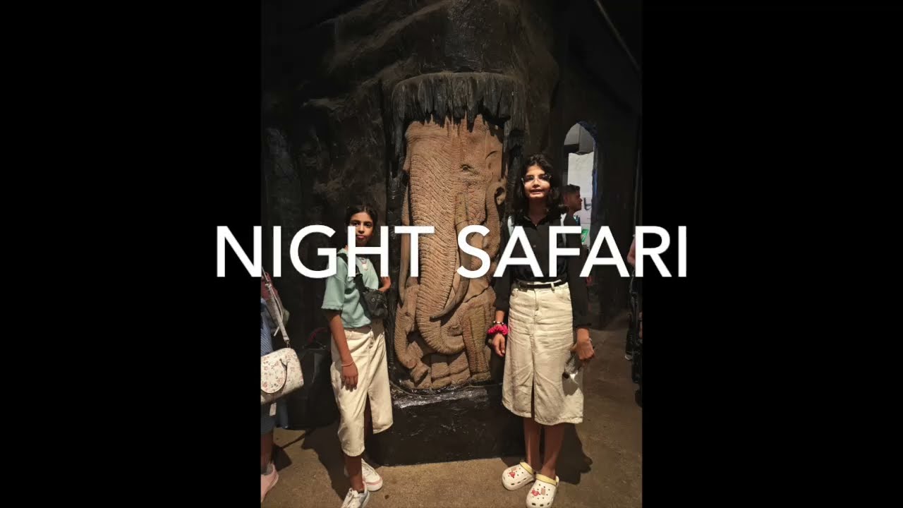 Singapore Night Safari Experience 🌙🦁 | Wildlife Adventure After Dark