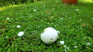 Grandinata Del 19 Luglio 2023...