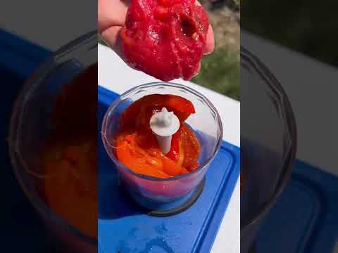 Шашлык в тандыре с маринадом из спелых печёных томатов
