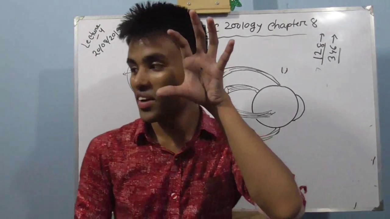 hsc zoology chapter 8 lecture 4 part 2