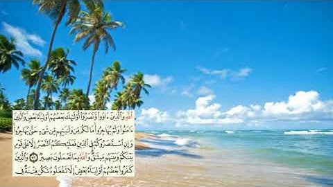 صفحة-186 page سعد الغامدي - -سورة الأنفال -08-Le butin (Al-Anfal)