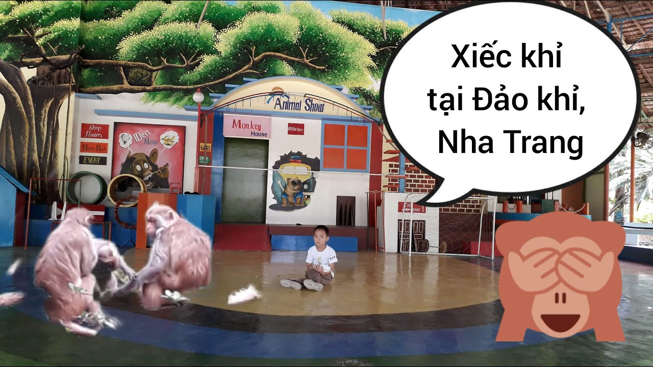 Các tiết mục xiếc khỉ tại Đảo khỉ, Nha Trang #xieckhi #nhatrang #monkeyisland