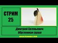 Стрим#25 "Дмитрий Евгеньевич: Обугленная груша"