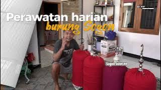 RAWATAN SOGON GACOR