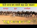 Pushkar Mela Indian Camel Market -  भारत के सबसे बड़े  ऊँट बाज़ार मंडी की  सुनिए बातें