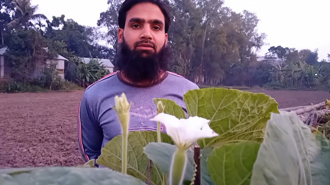 তারা একটা লটারিতে কি জিতলো!| Abu Talib