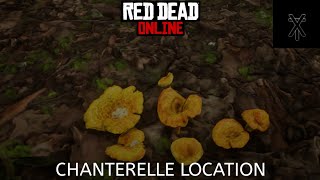 Red Dead Online - Chanterelle location